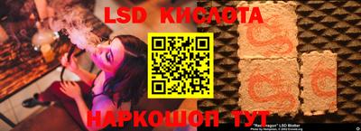 mdma Гатчина