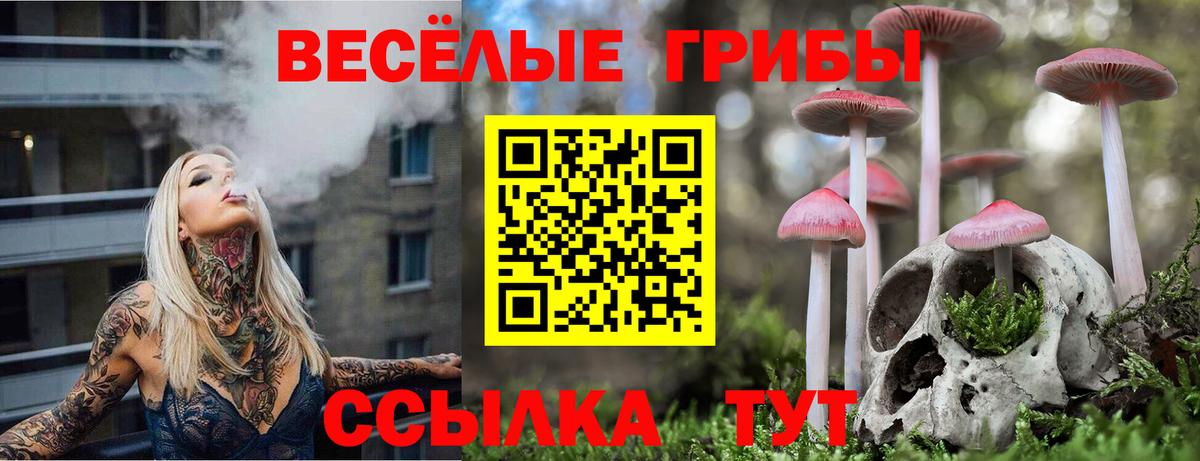 сколько стоит  Галлюциногенные грибы GOLDEN TEACHER  Галлюциногенные грибы ЛСД  Вход с VPN  Гуково 